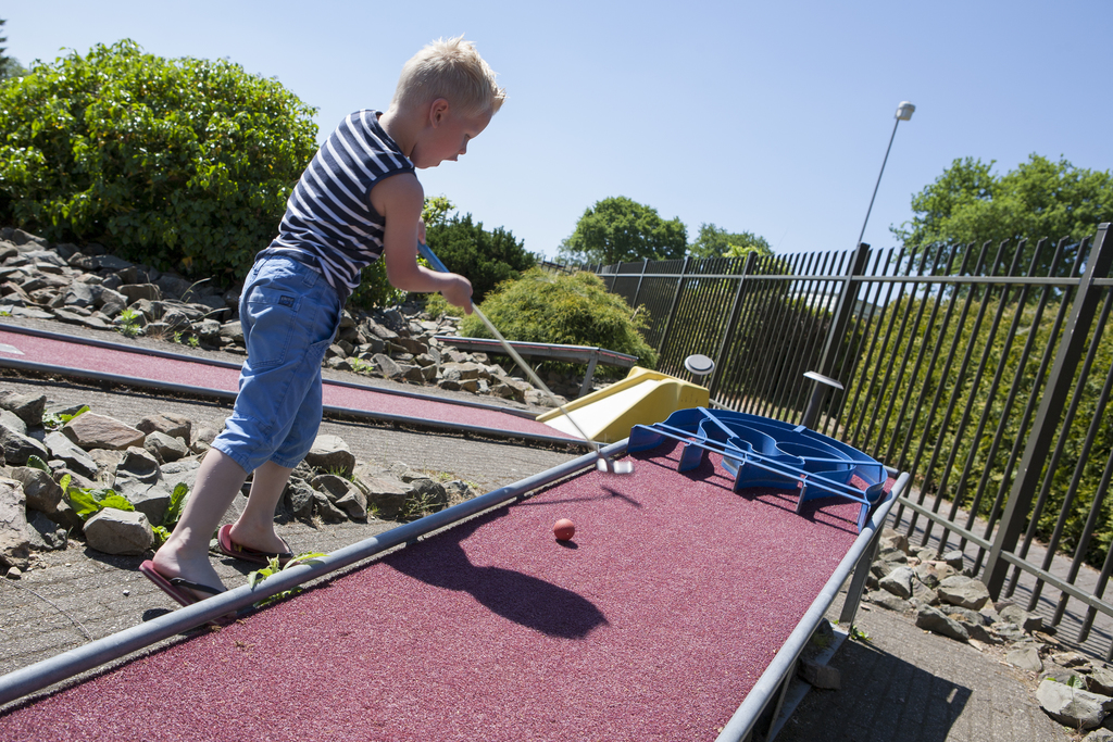 heerlijk-6-persoons-chalet-op-park-in-voorthuizen