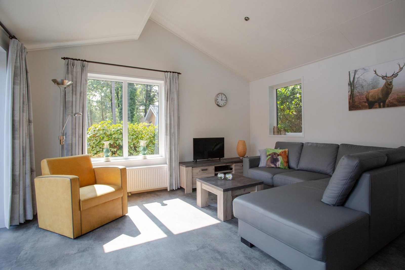 bos-lodge-5-personen