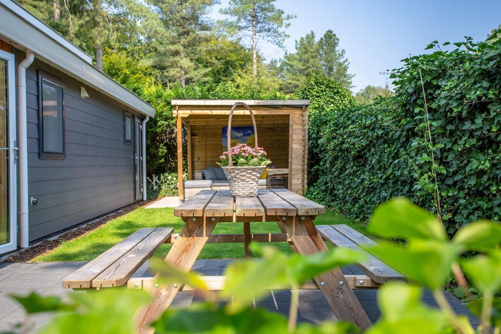 bos-lodge-5-personen