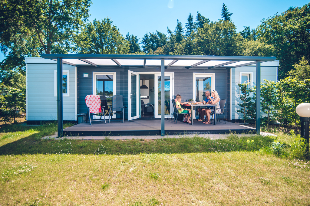 Heerlijk Bosrandchalet voor 6 personen op park in Voorthuizen