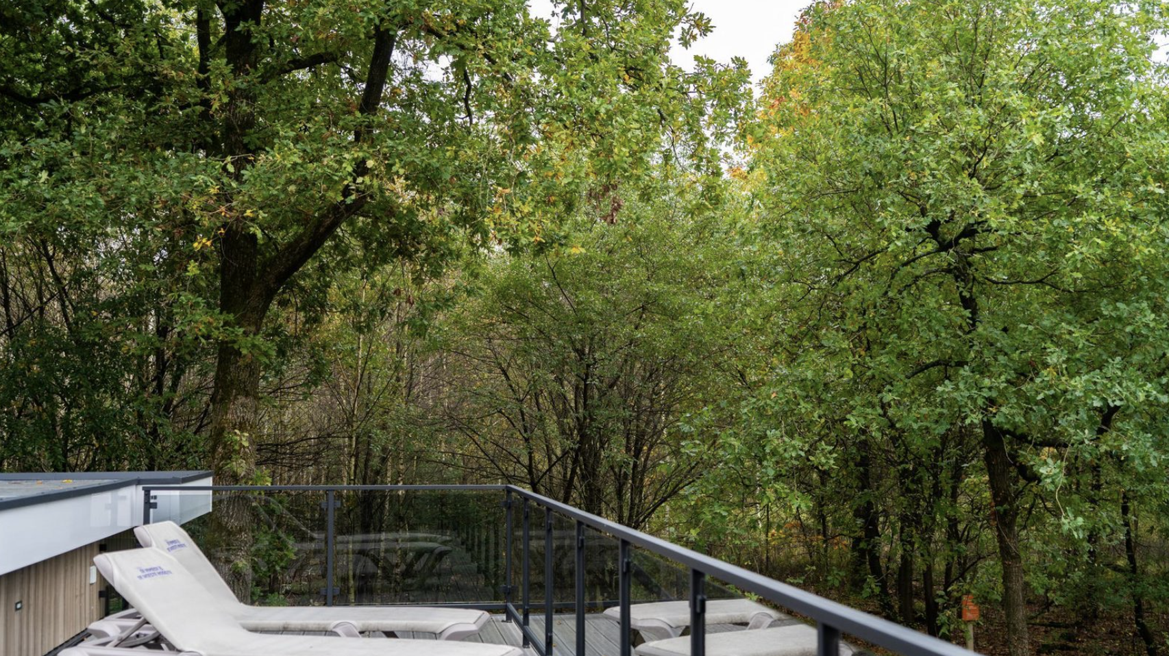 vakantiewoning-boszicht-xl-luxe-6-persoons