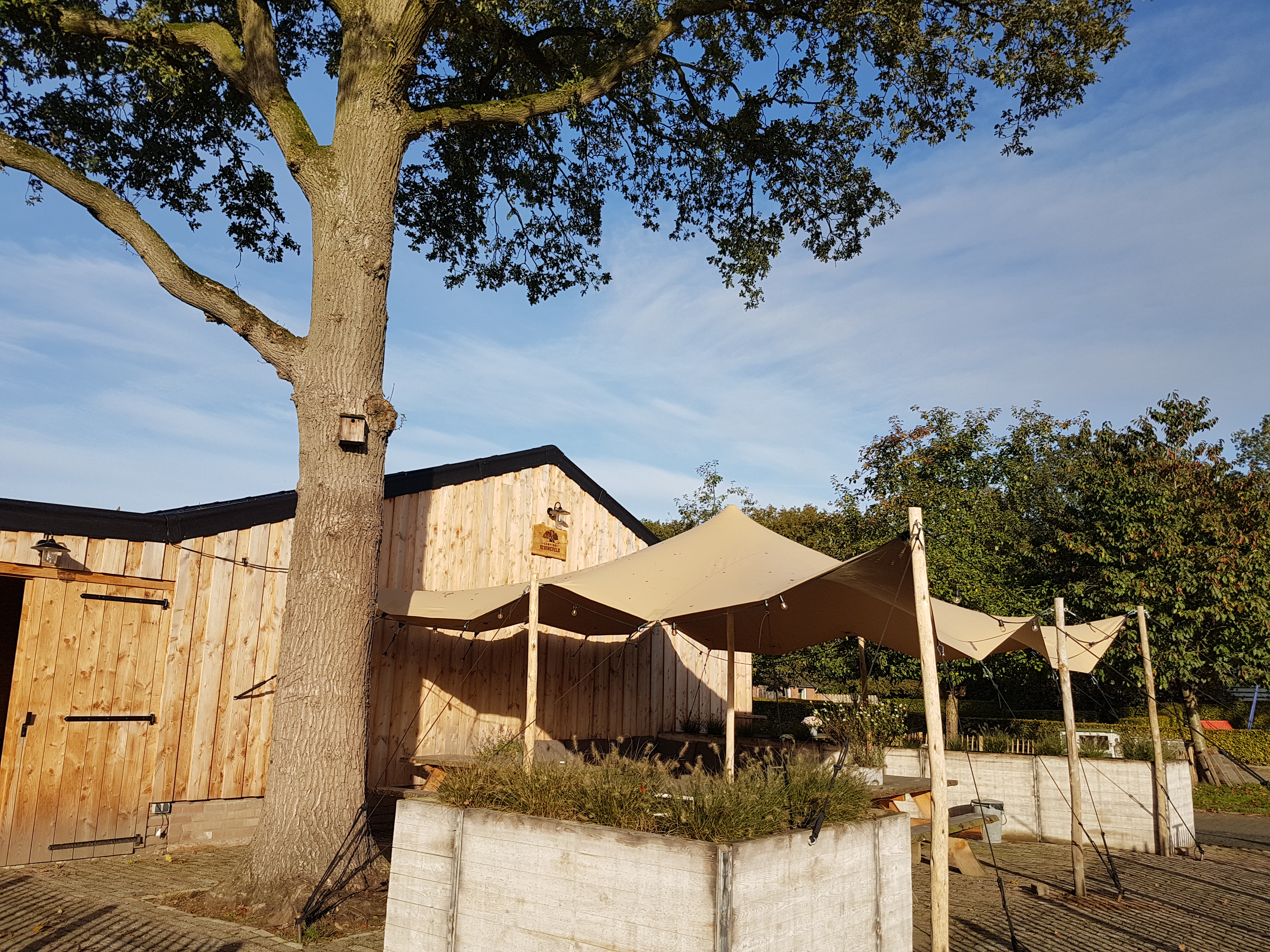Vakantiehuis voor 12 personen op bosrijke camping in Ruurlo
