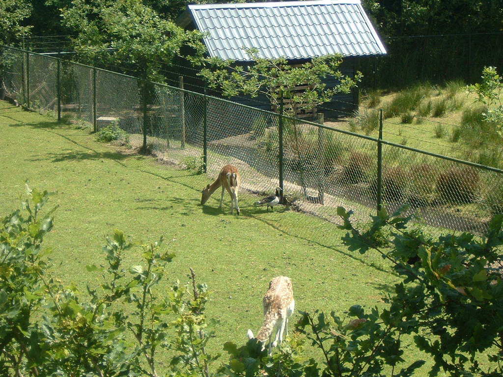 gezinschalet-op-park-in-uddel