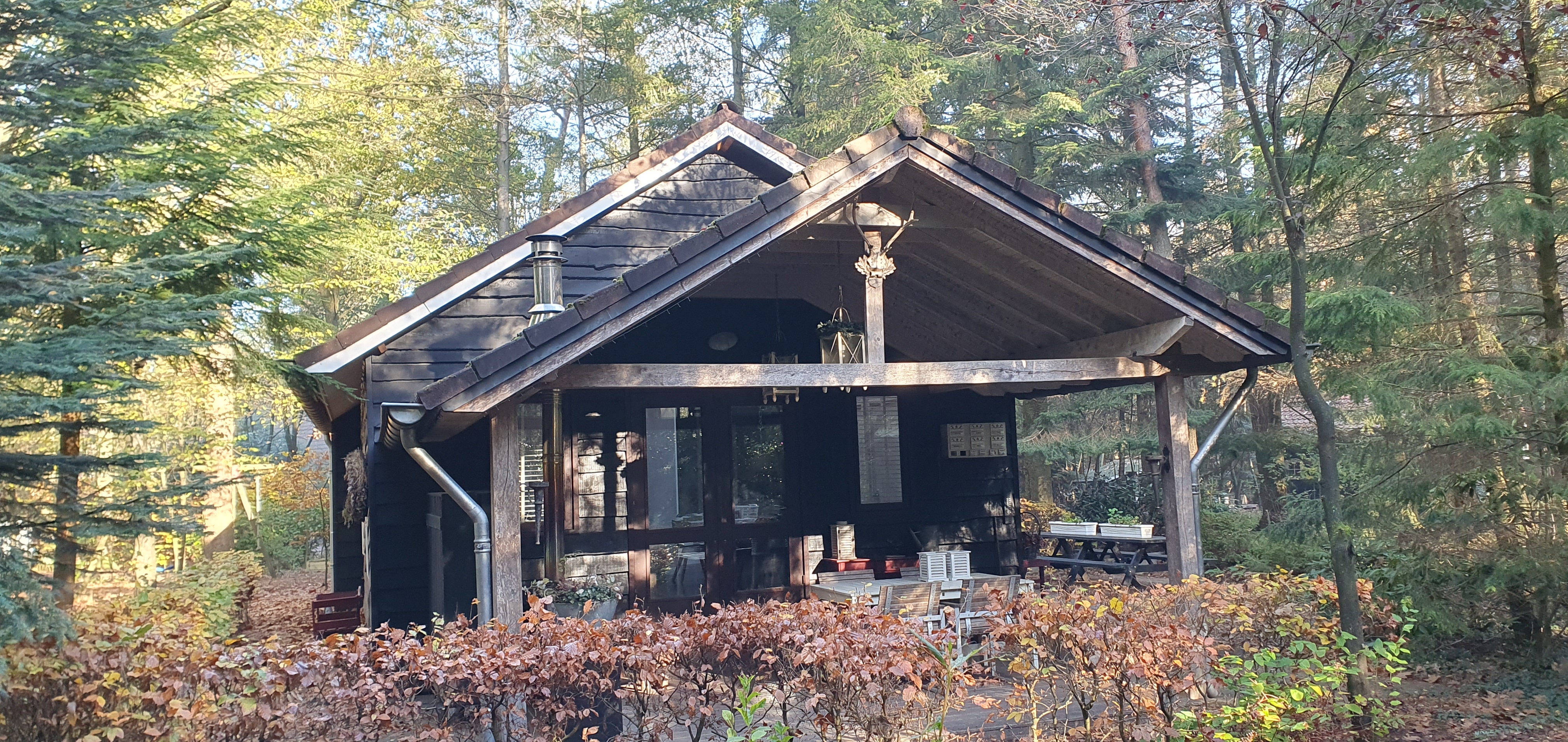 4-persoons-boshuisje-in-emst-op-de-veluwe