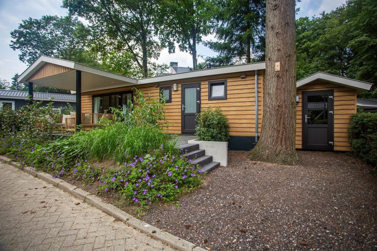 heuvelrug-cottage-4-personen