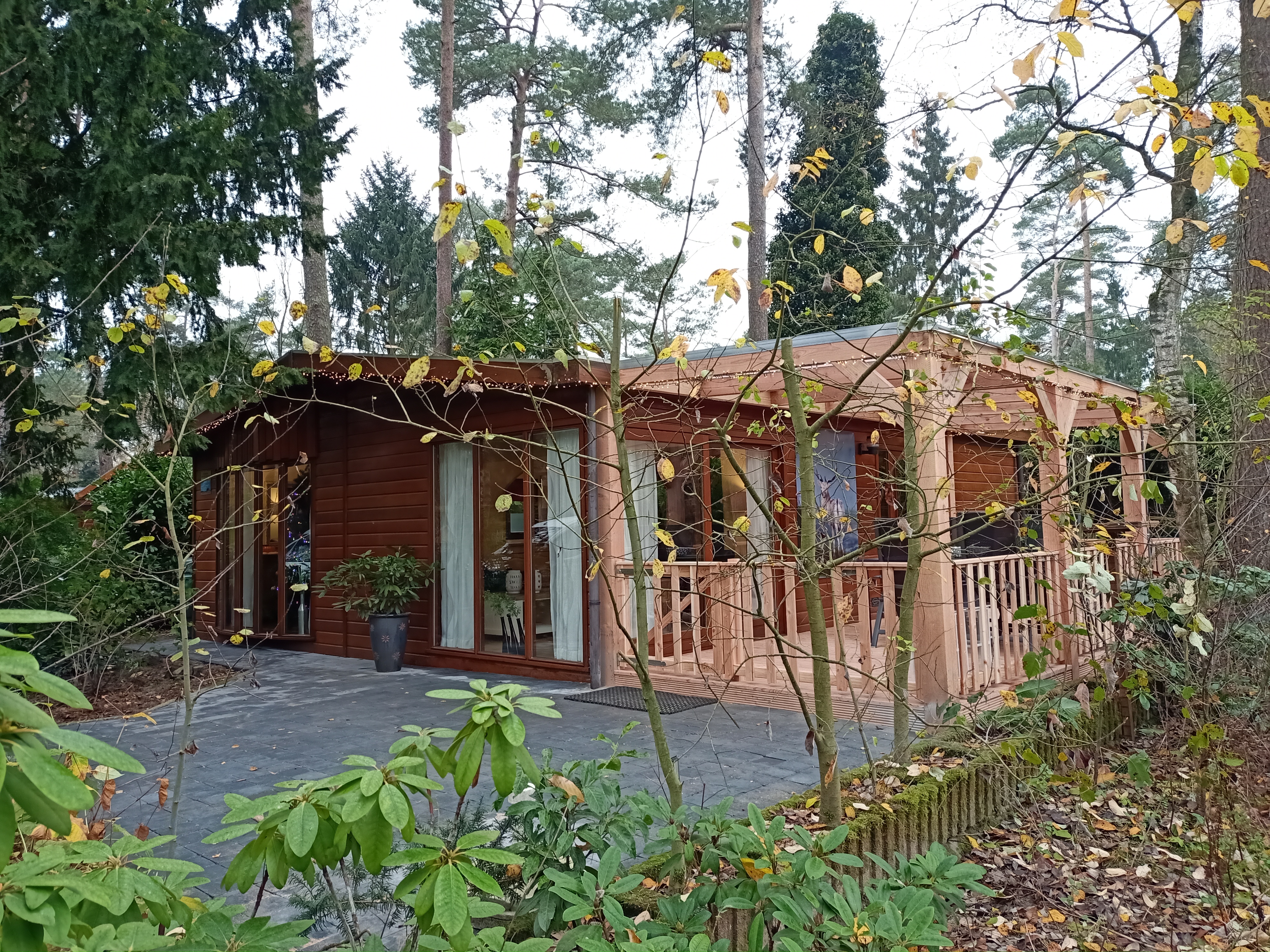 4-persoons chalet op Bospark Dennenrhode met omheinde tuin 4-persoons chalet op Bospark Dennenrhode met omheinde tuin
