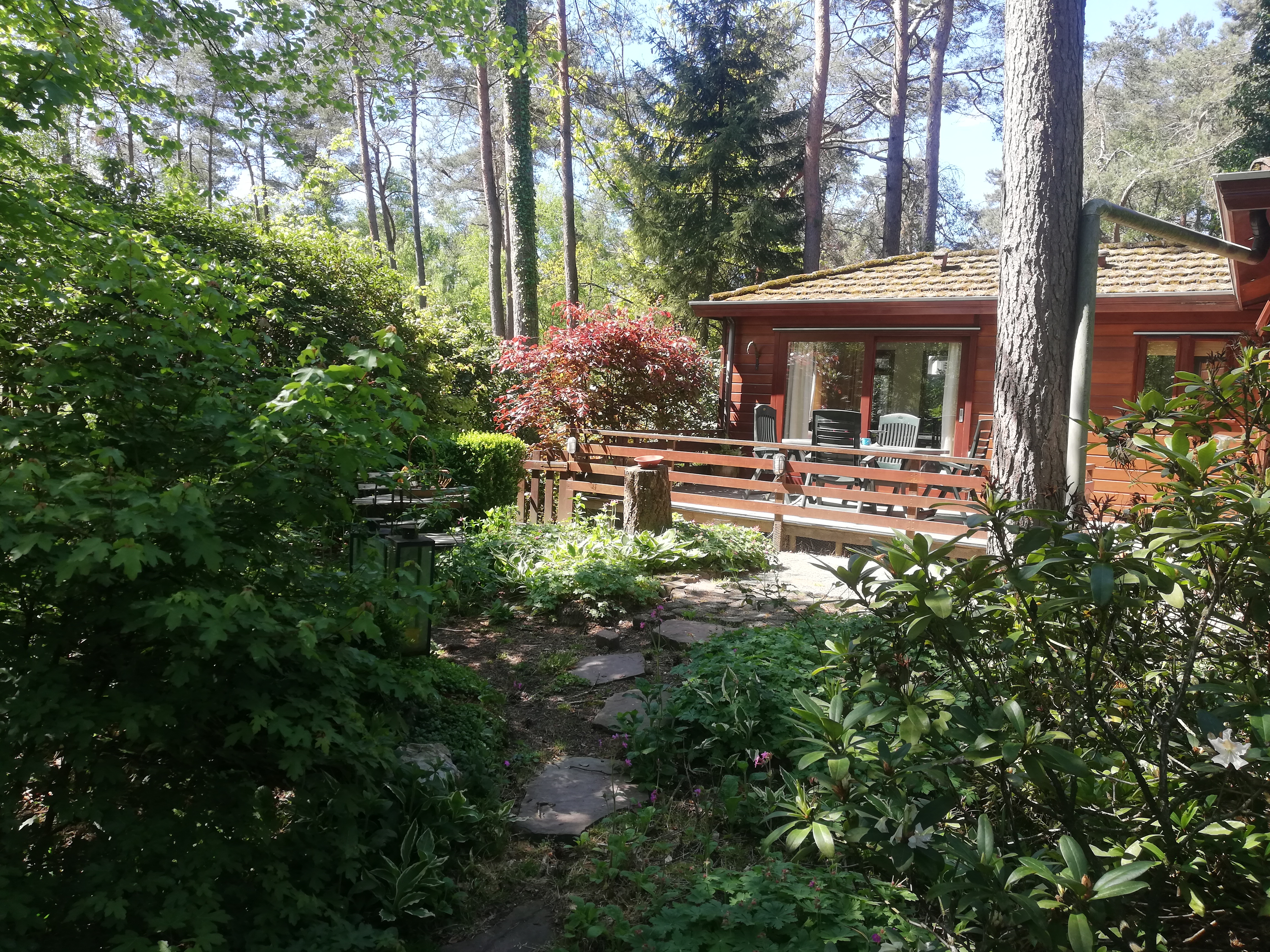 4-persoons keurig chalet op park in Doornspijk 4-persoons keurig chalet op park in Doornspijk