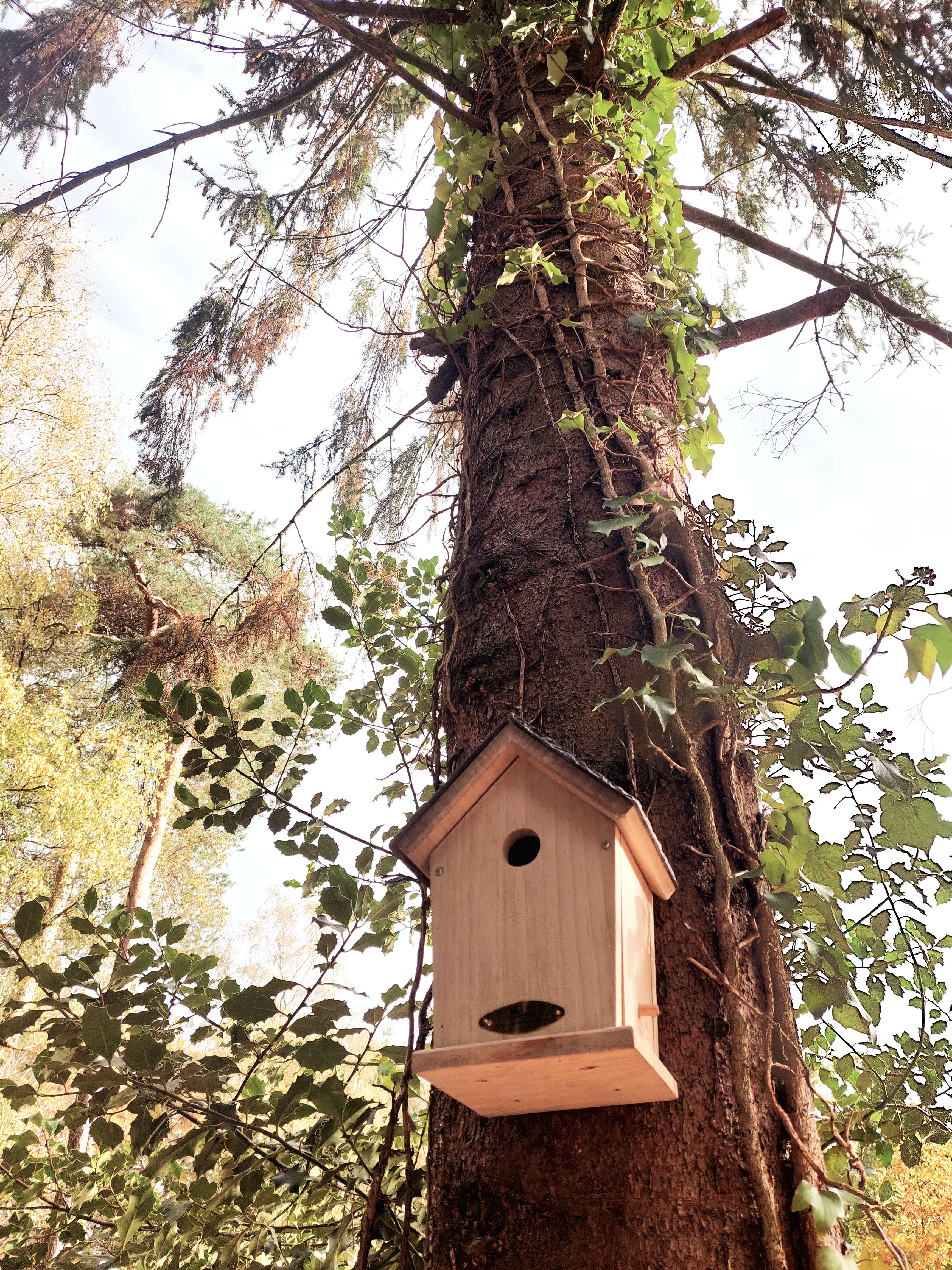 uniek-tiny-house-in-uddel-voor-1-tot-4-personen