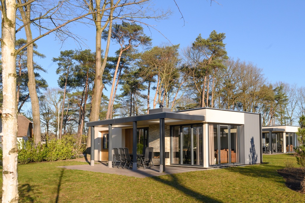 Fraaie vakantievilla voor 6 personen op park in Voorthuizen in Voorthuizen - Veluwe, Nederland foto 8854719