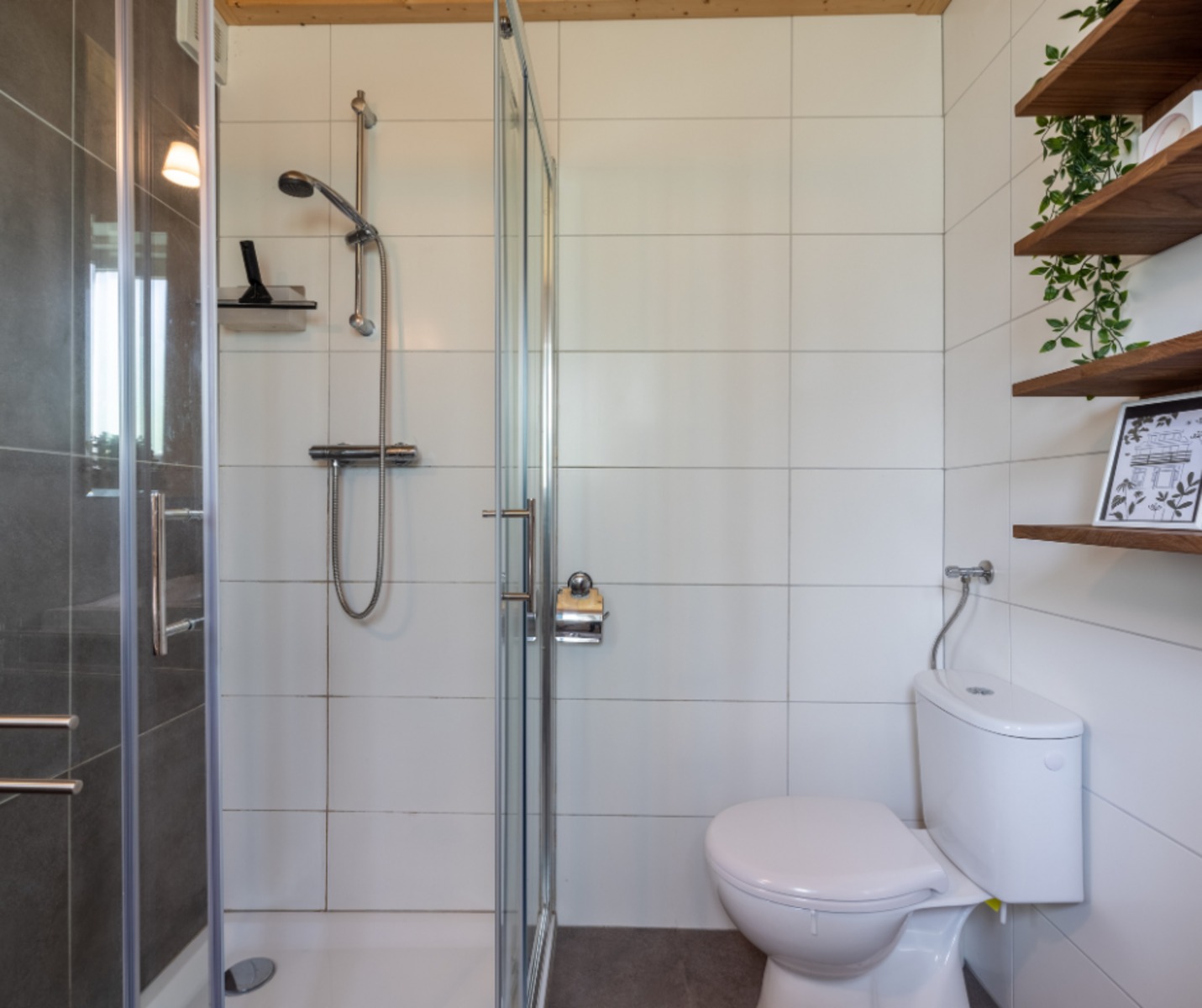 vakantiewoning-boslodge-comfort-4-persoons