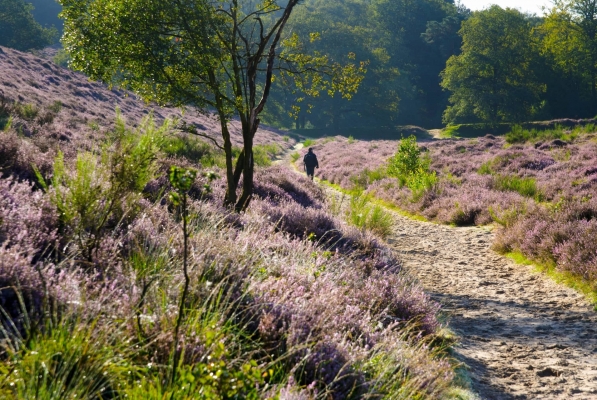 weekend-weg-veluwe